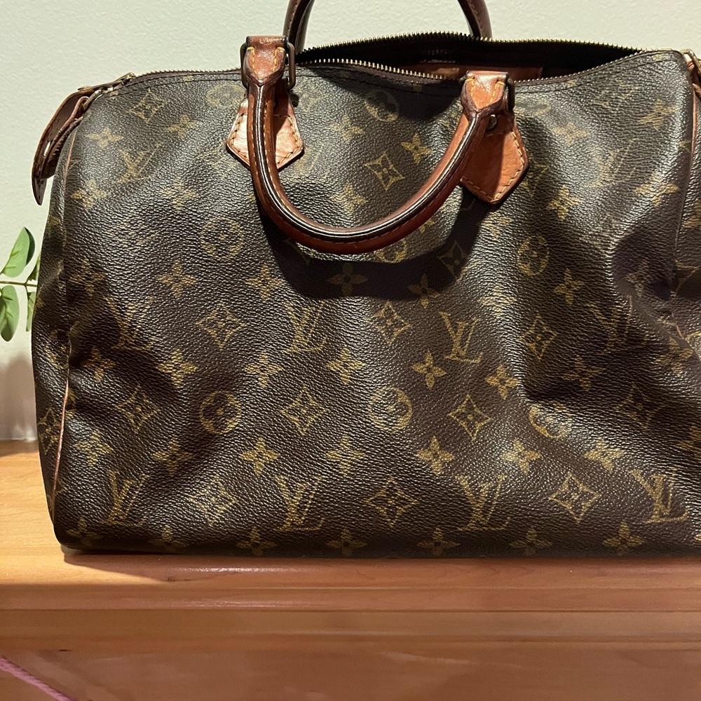 Louis Vuitton Monogram Canvas Bag